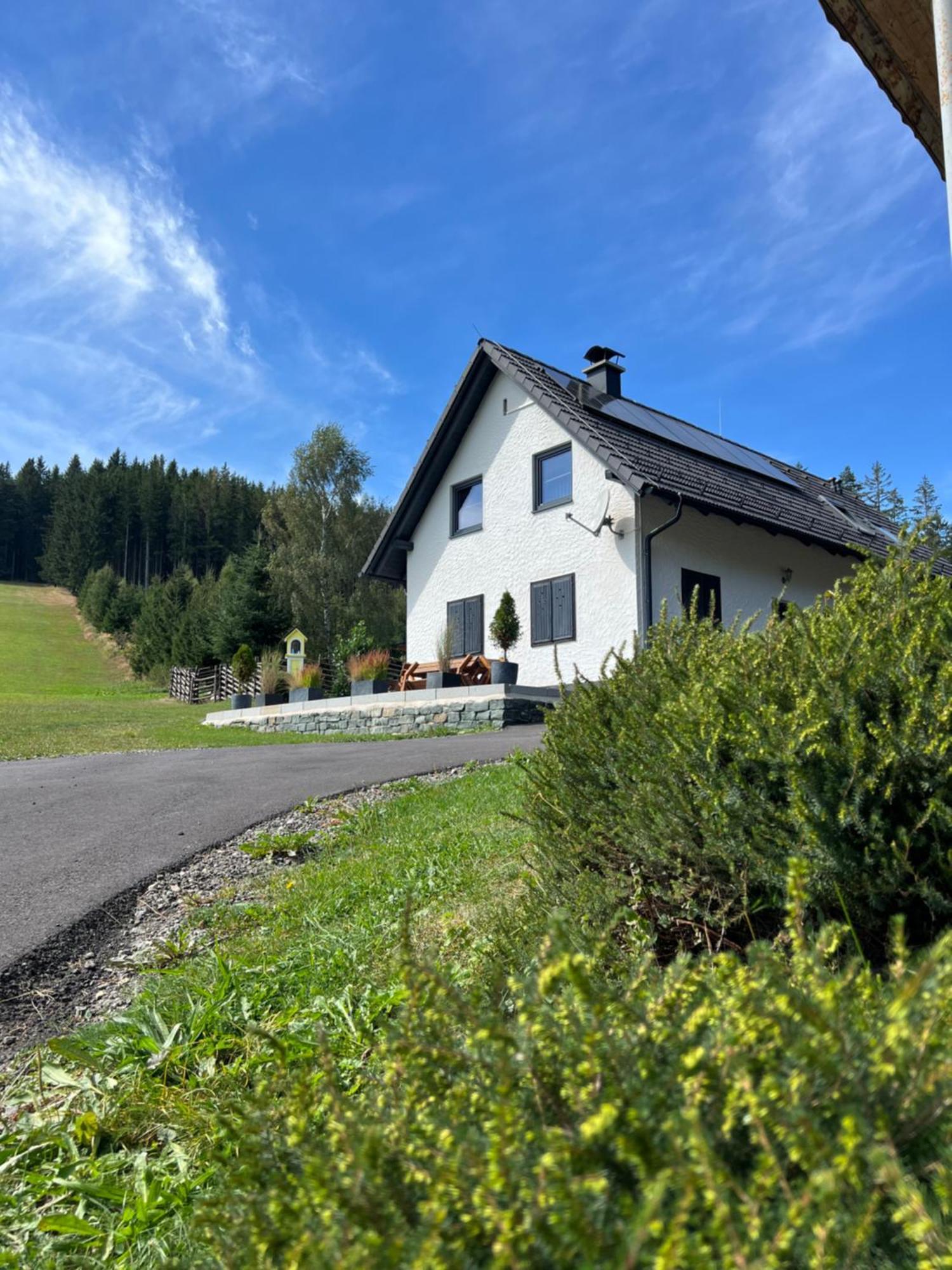 Waldheimatblick